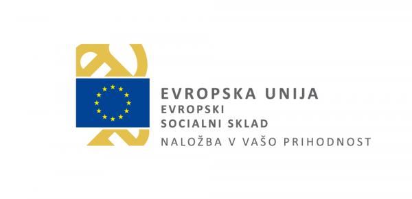 Evropska unija - evropski socialni sklad